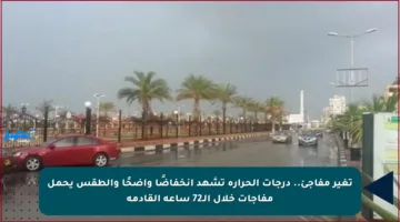 تغير مفاجئ.. درجات الحرارة تشهد انخفاضًا واضحًا والطقس يحمل مفاجآت خلال الـ72 ساعة القادمة